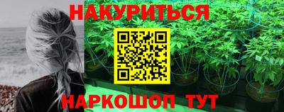 не бодяженный Гай