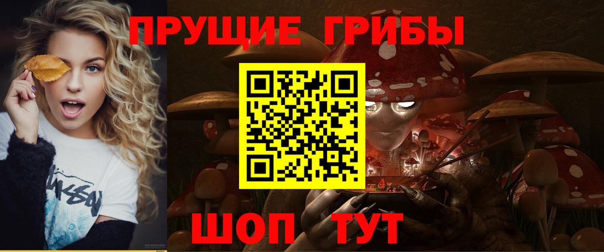 Псилоцибиновые грибы прущие грибы  Вход с VPN  Ирбит 