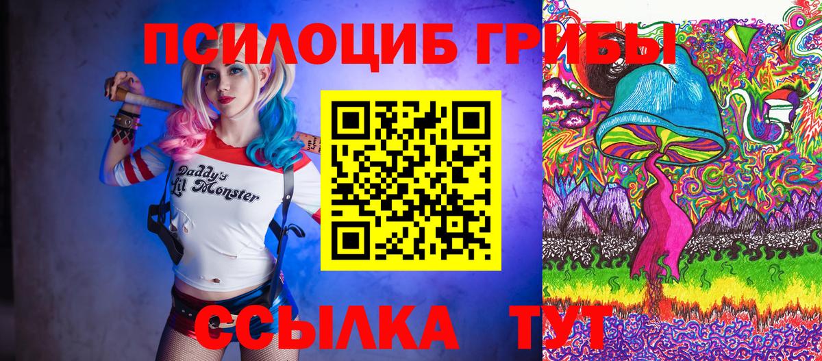 Галлюциногенные грибы Psilocybe Ирбит